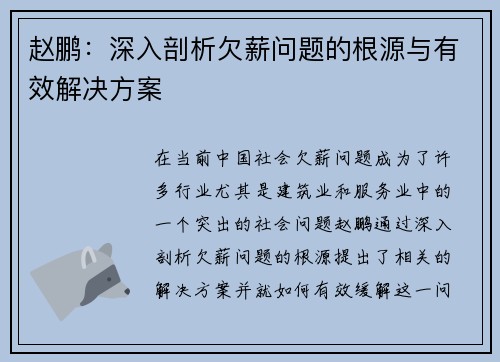 赵鹏：深入剖析欠薪问题的根源与有效解决方案